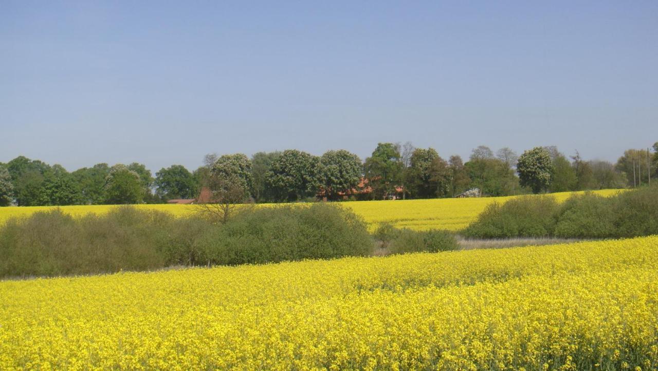 Kleine Auszeit - Natur Und Erholung In Mecklenburg Reimershagen Dış mekan fotoğraf